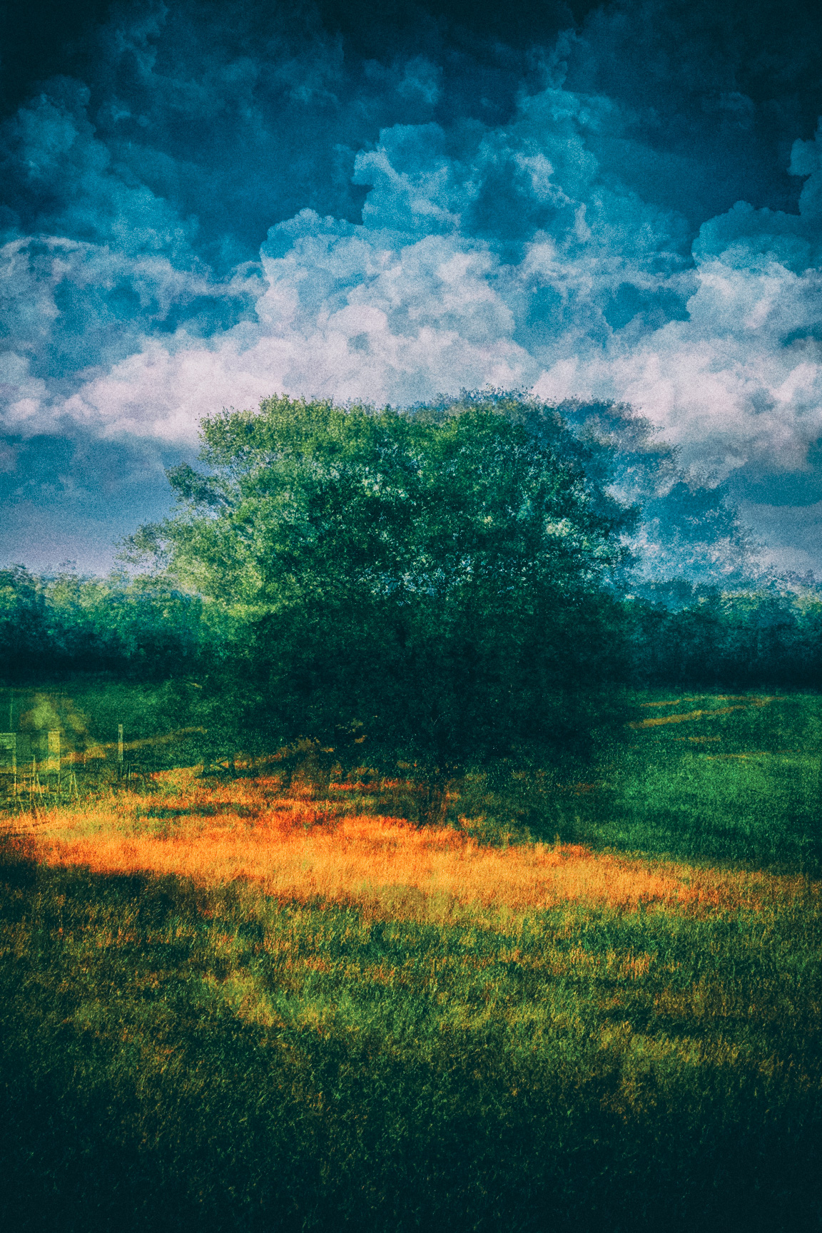 Landschaft bei Goldenstädt a tree in a field