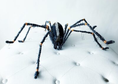 Das Märchen von der Spinne Gisela